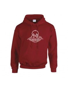 PCSI2 Sweatshirt Capuche...